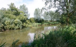 River Great Ouse Carlton Road - Verulam Angling Club
