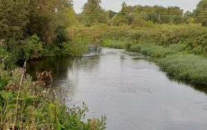 Fishers Green