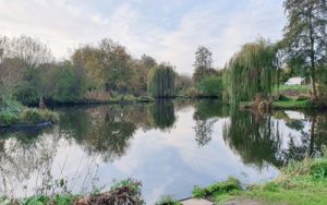 Riverside Road Fishery - Verulam Angling Club