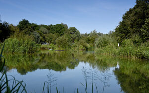 Frogmore Fishery - Verulam Angling Club