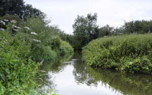 River Lea Leasey Bridge - Verulam Angling Club