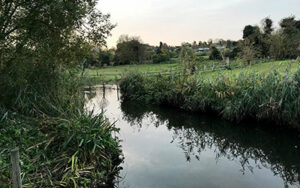 River Lea Marford Farm - Verulam Angling Club