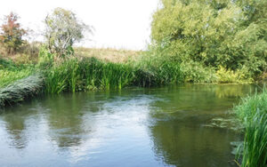 River Great Ouse Milton Ernest - Verulam Angling Club