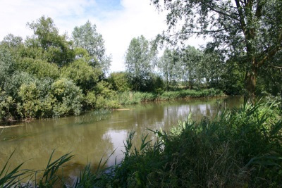 River Great Ouse – Carlton Road River Great Ouse Carlton Road - Verulam Angling Club