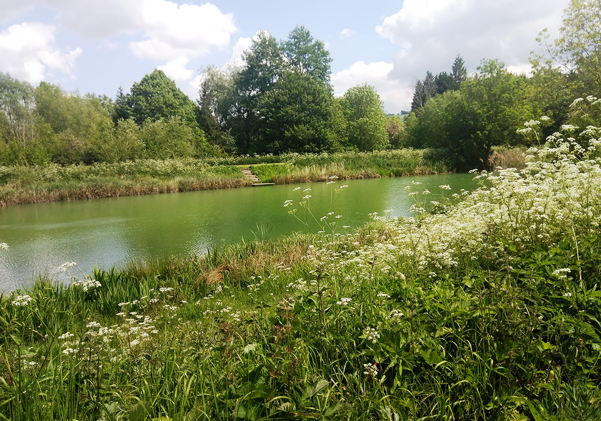 Bellows Mill Fishery - Verulam Angling Club