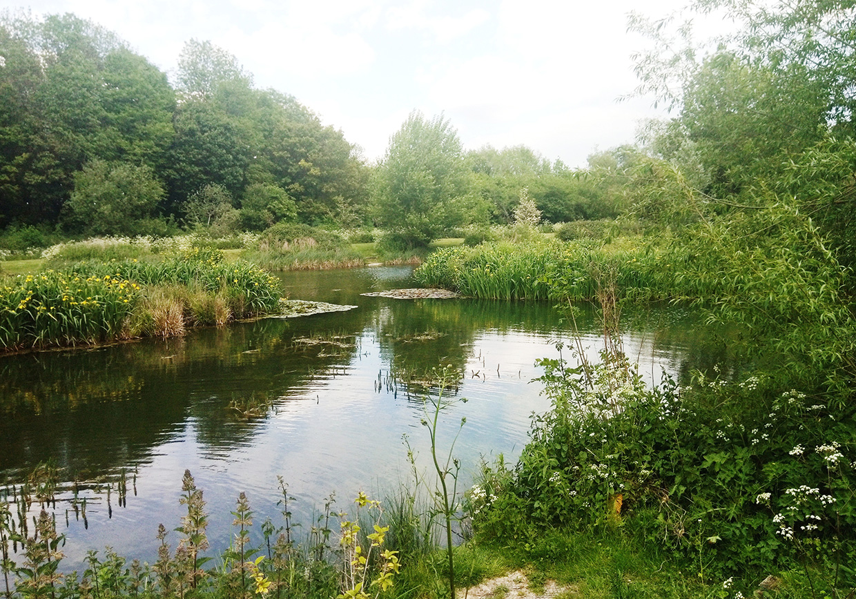 Bellows Mill Fishery - Verulam Angling Club