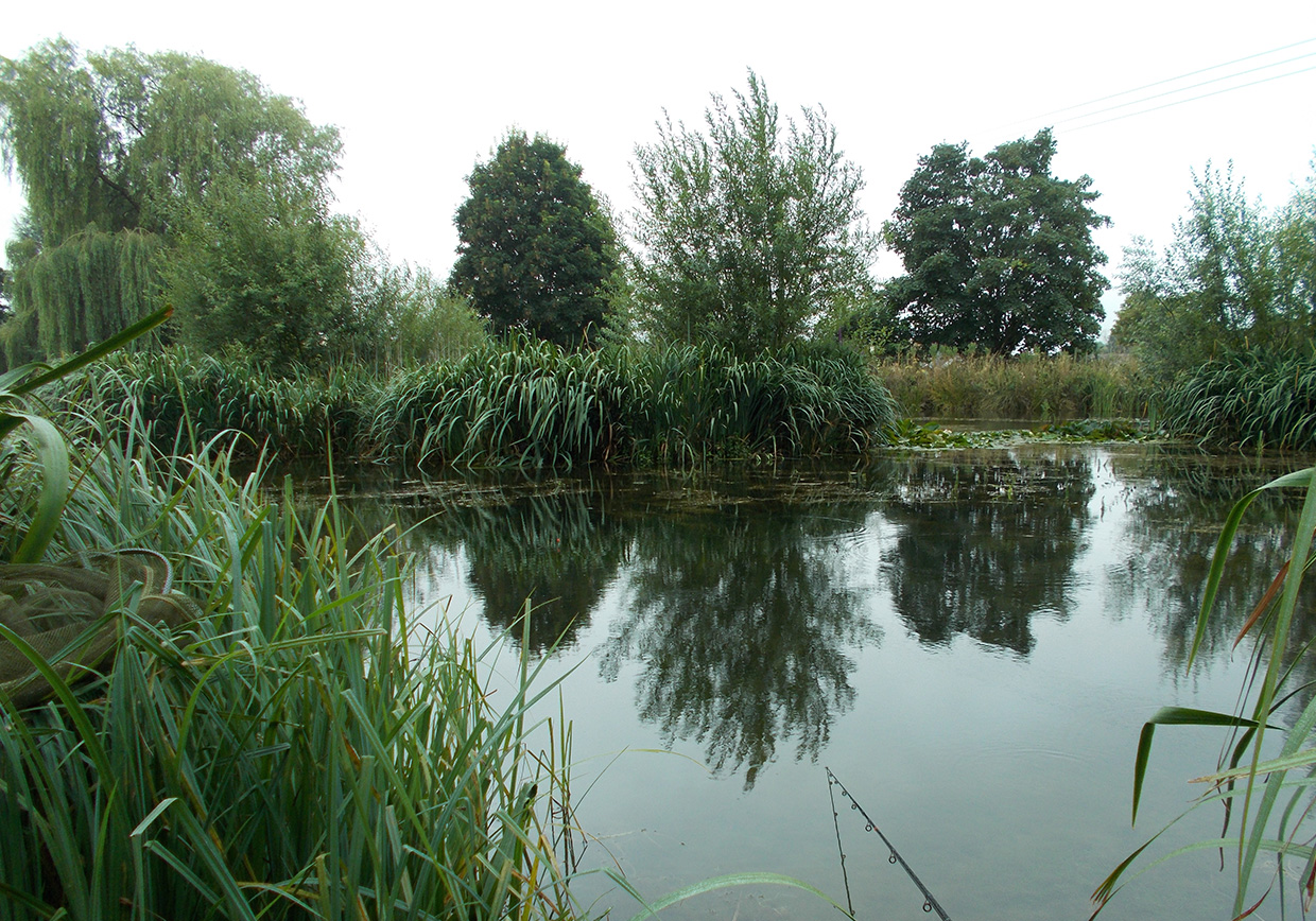 Bellows Mill Fishery - Verulam Angling Club