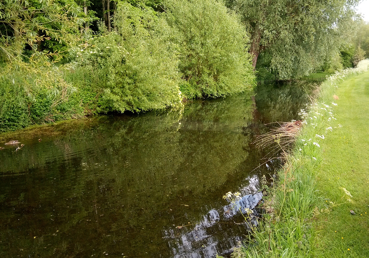 Bellows Mill Fishery - Verulam Angling Club
