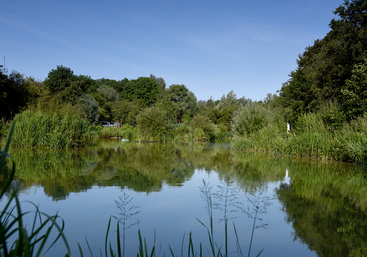 Frogmore Fishery - Verulam Angling Club