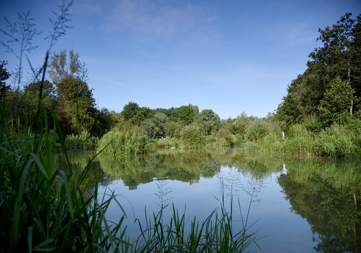 Frogmore Fishery - Verulam Angling Club