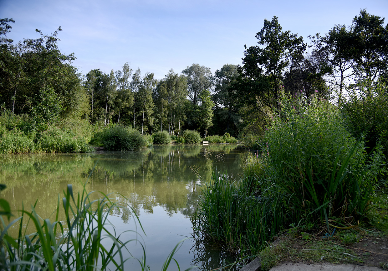 Frogmore Fishery - Verulam Angling Club