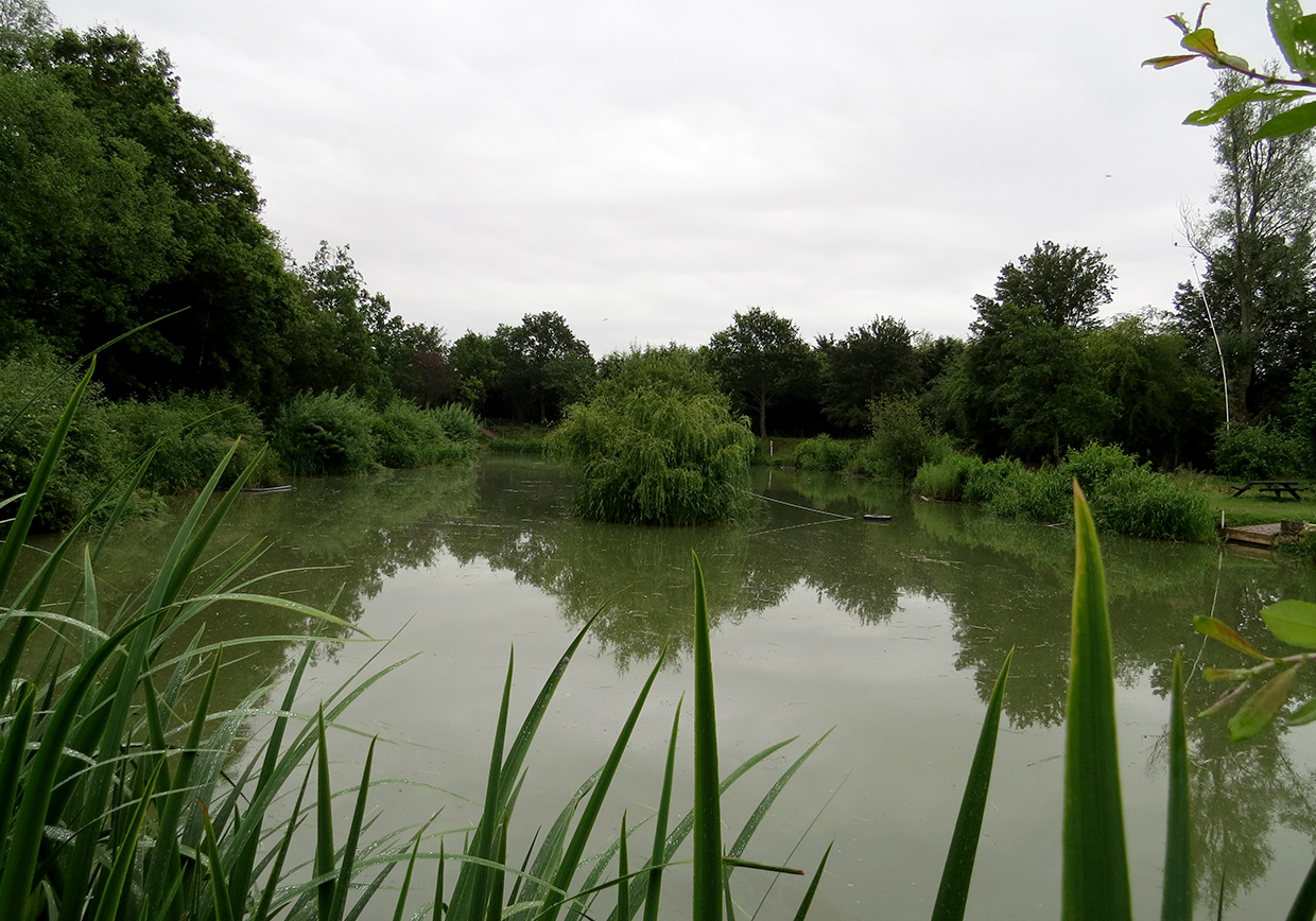 Frogmore Fishery - Verulam Angling Club