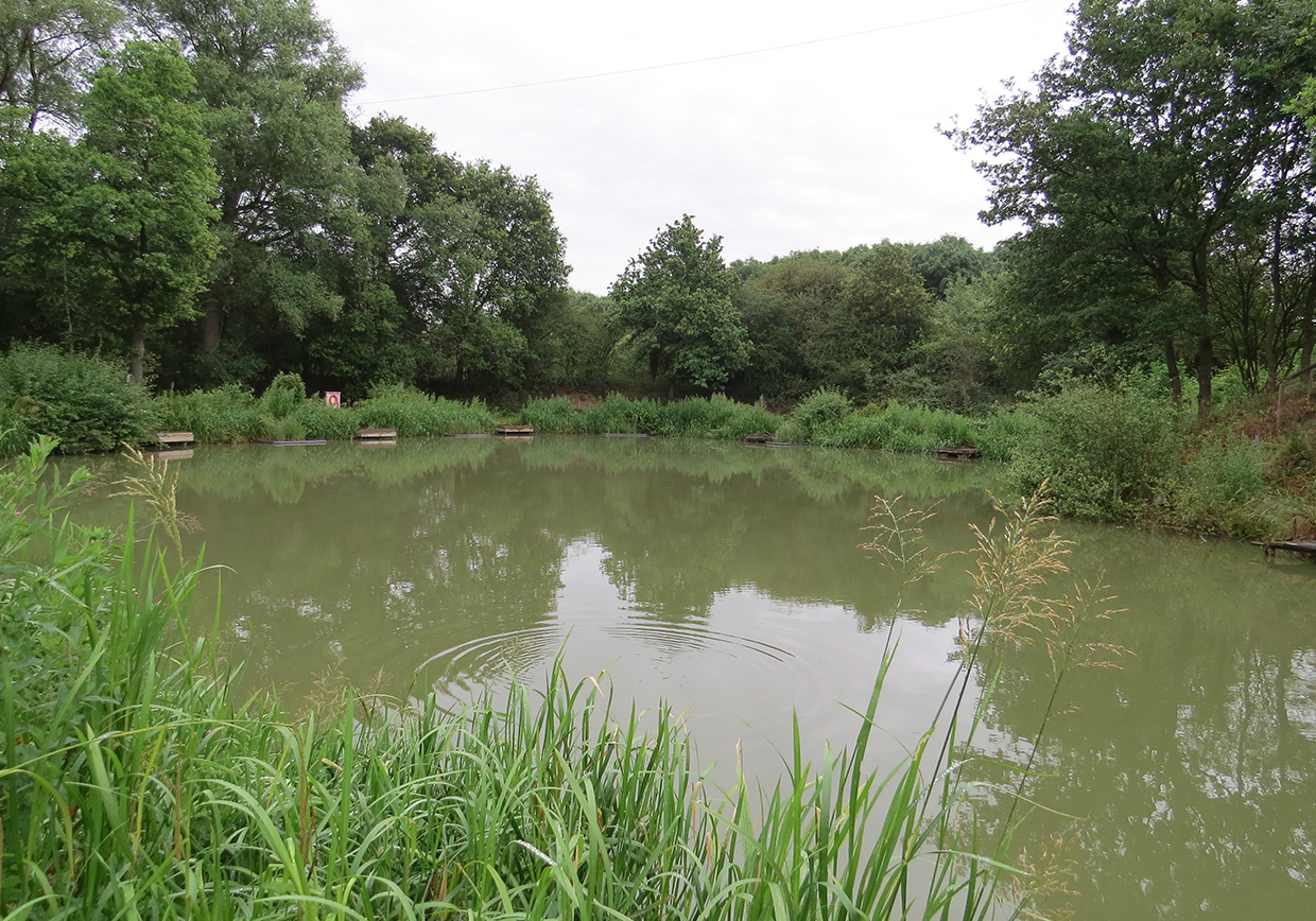 Frogmore Fishery - Verulam Angling Club
