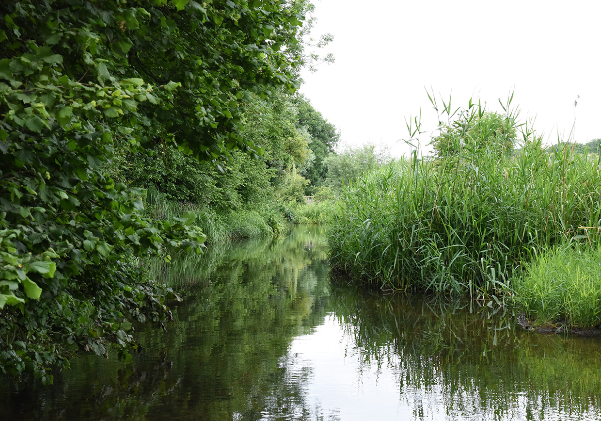River Lea Leasey Bridge - Verulam Angling Club