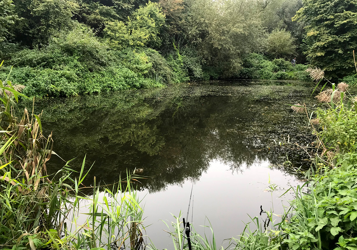 River Lea Leasey Bridge - Verulam Angling Club