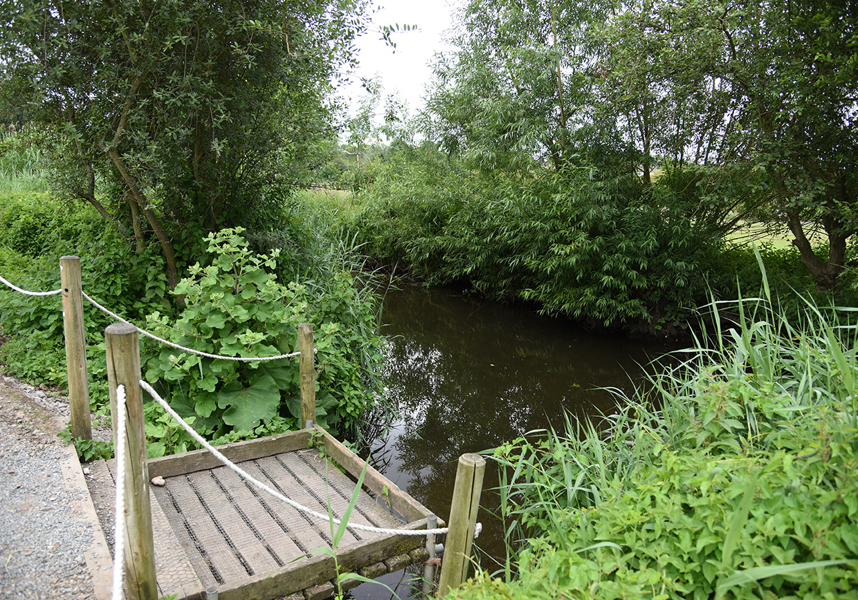 River Lea Marford Farm - Verulam Angling Club