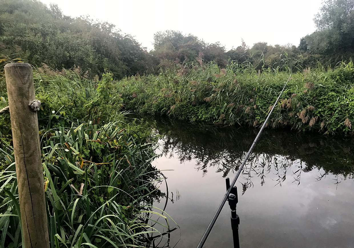River Lea Marford Farm - Verulam Angling Club