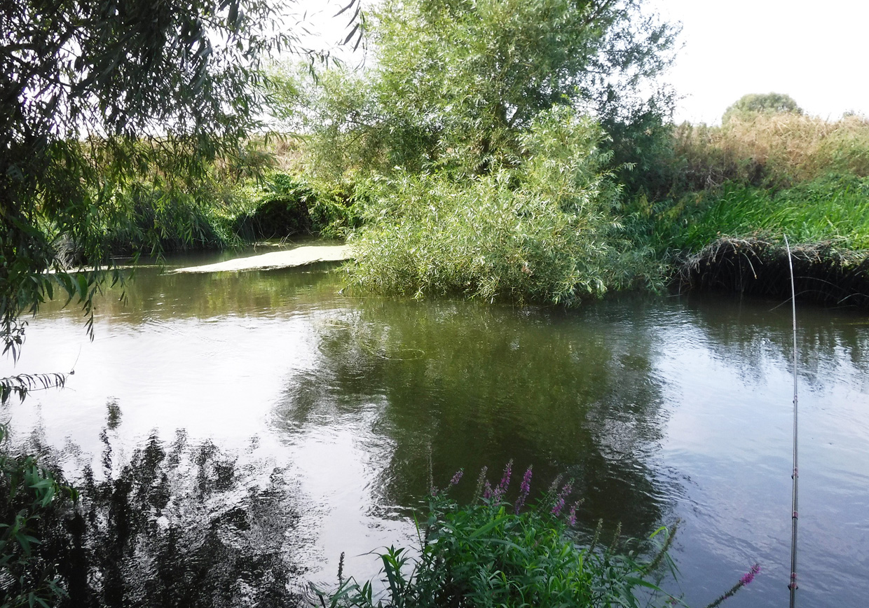 River Great Ouse Milton Ernest - Verulam Angling Club