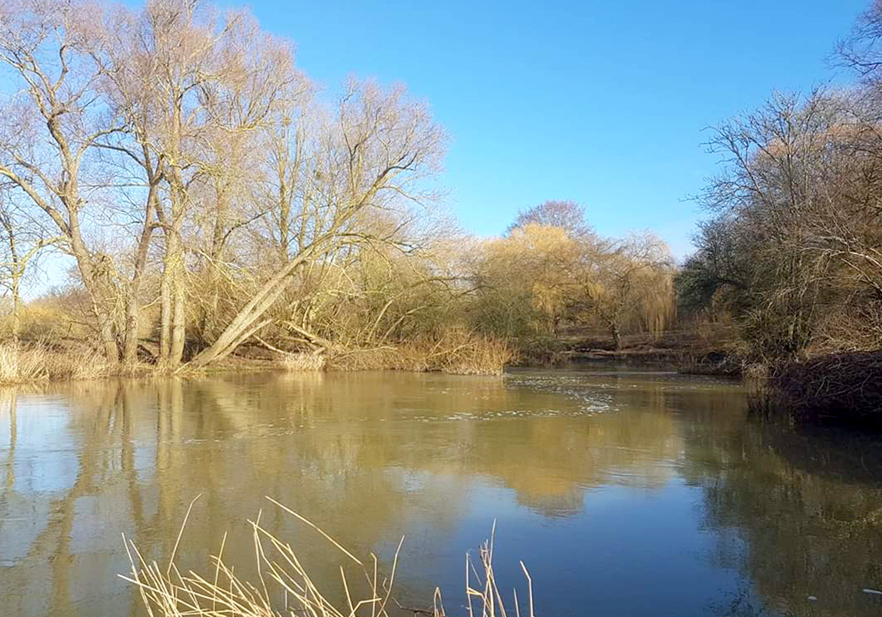 River Great Ouse Milton Ernest - Verulam Angling Club