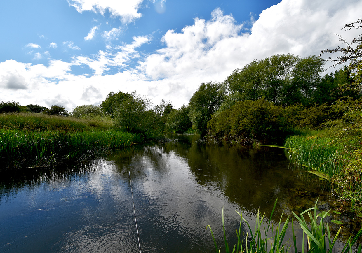 River Great Ouse Radwell - Verulam Angling Club