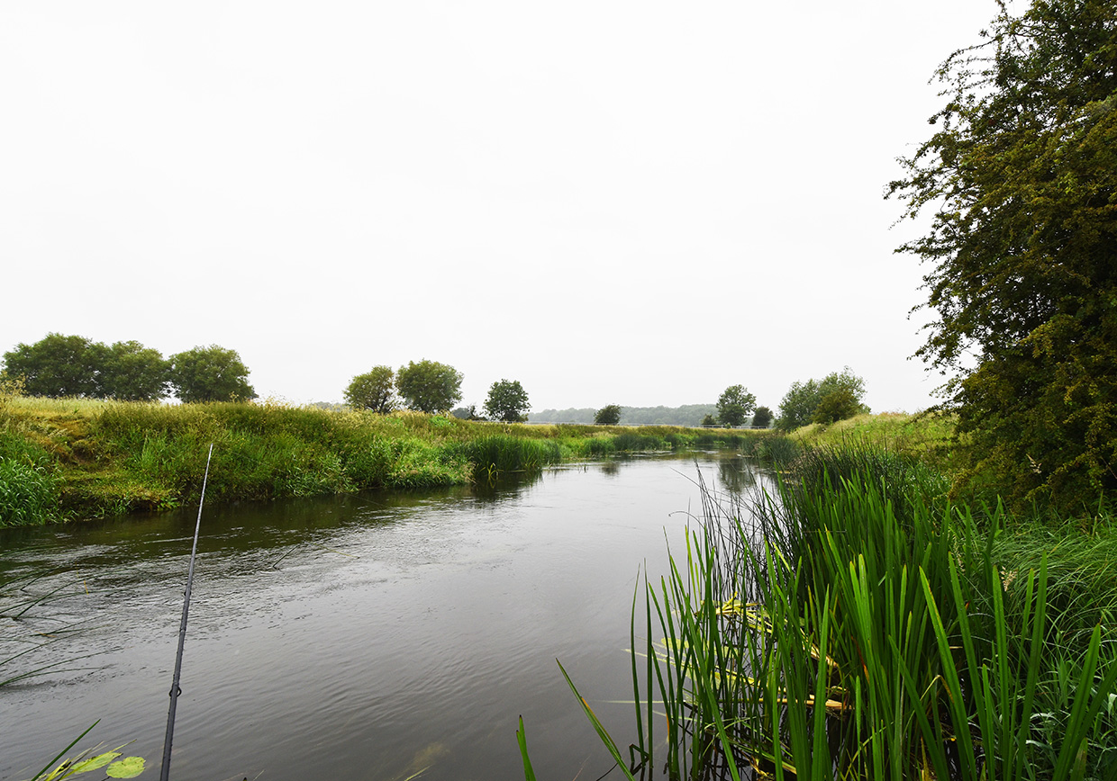 River Great Ouse Radwell - Verulam Angling Club