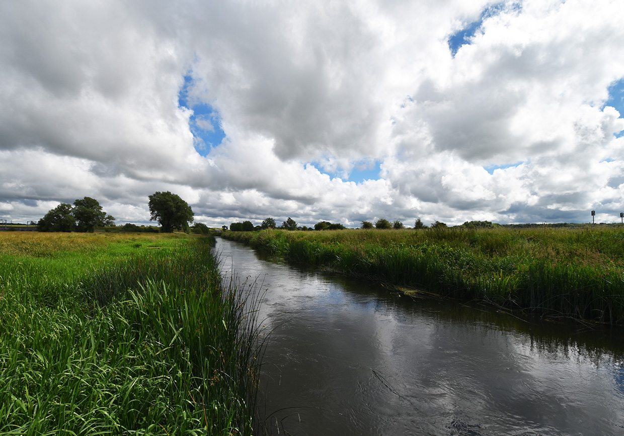 River Great Ouse Radwell - Verulam Angling Club