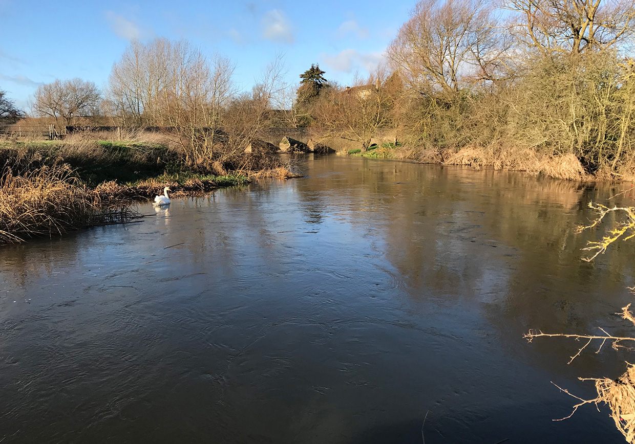 River Great Ouse Radwell - Verulam Angling Club