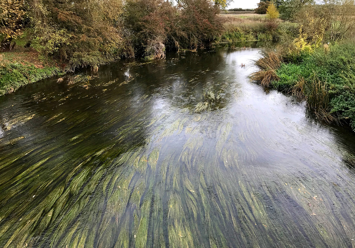 River Great Ouse Radwell - Verulam Angling Club