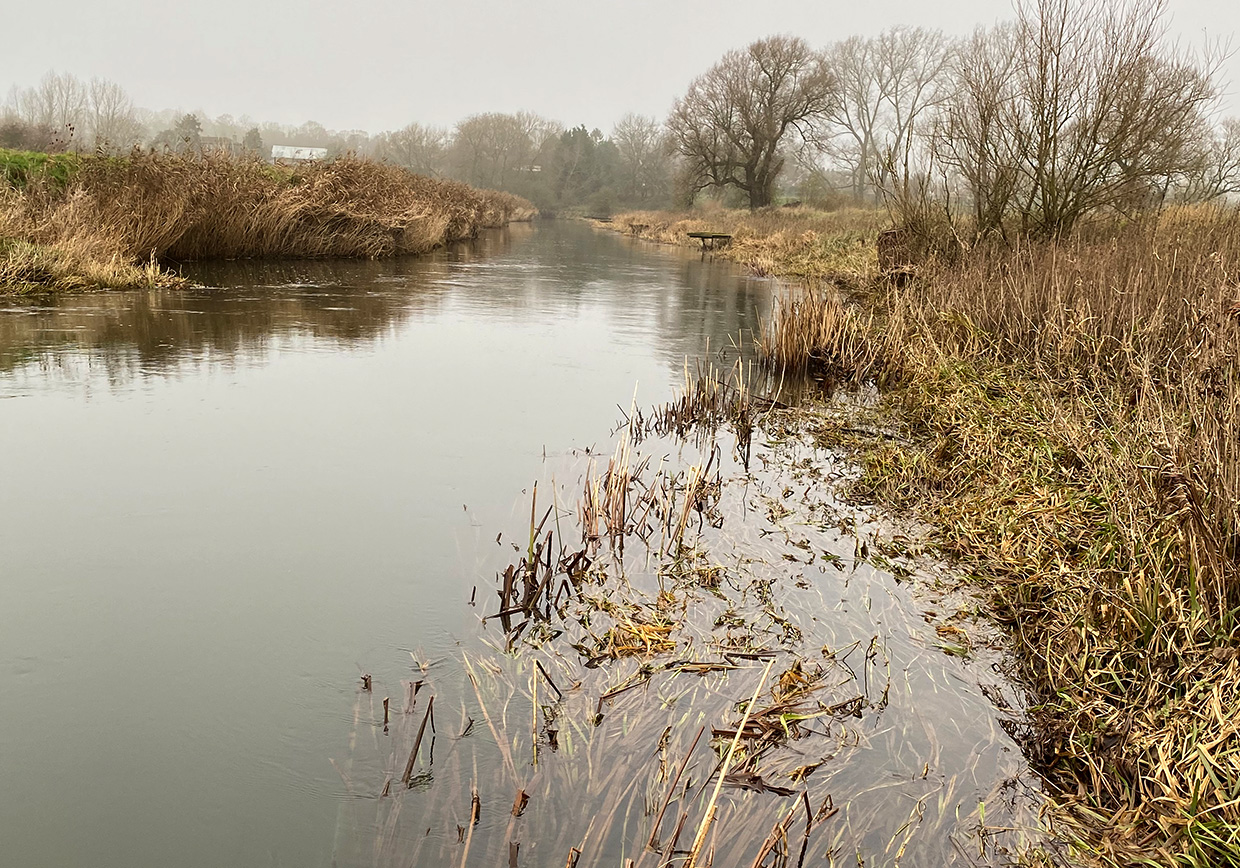 River Great Ouse Radwell - Verulam Angling Club