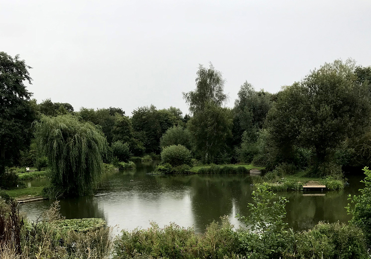 Riverside Road Fishery - Verulam Angling Club