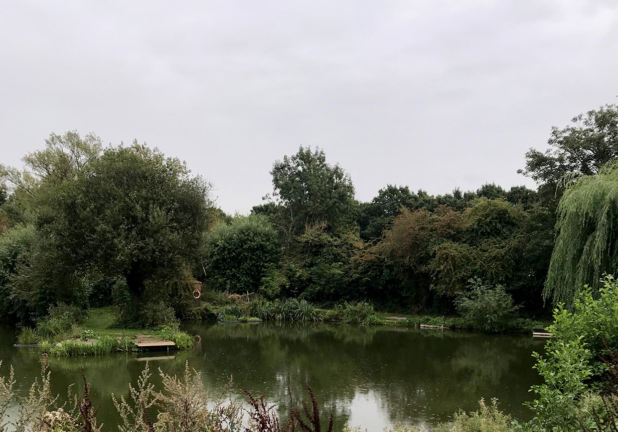 Riverside Road Fishery - Verulam Angling Club