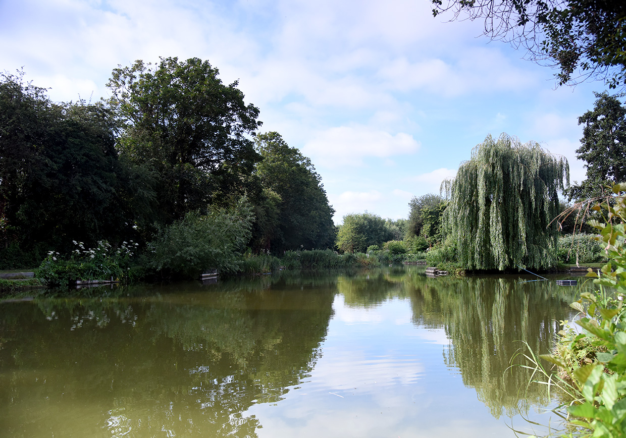 Riverside Road Fishery - Verulam Angling Club