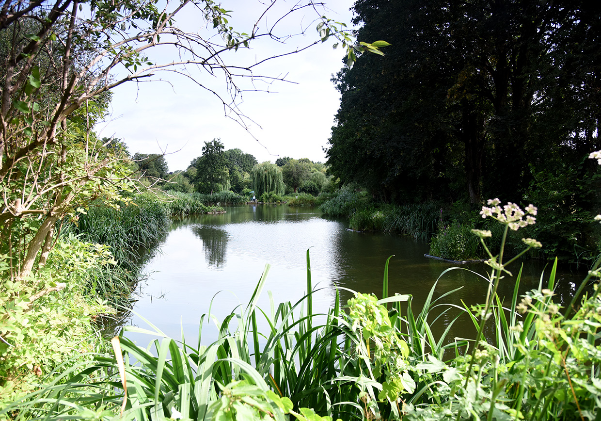 Riverside Road Fishery - Verulam Angling Club