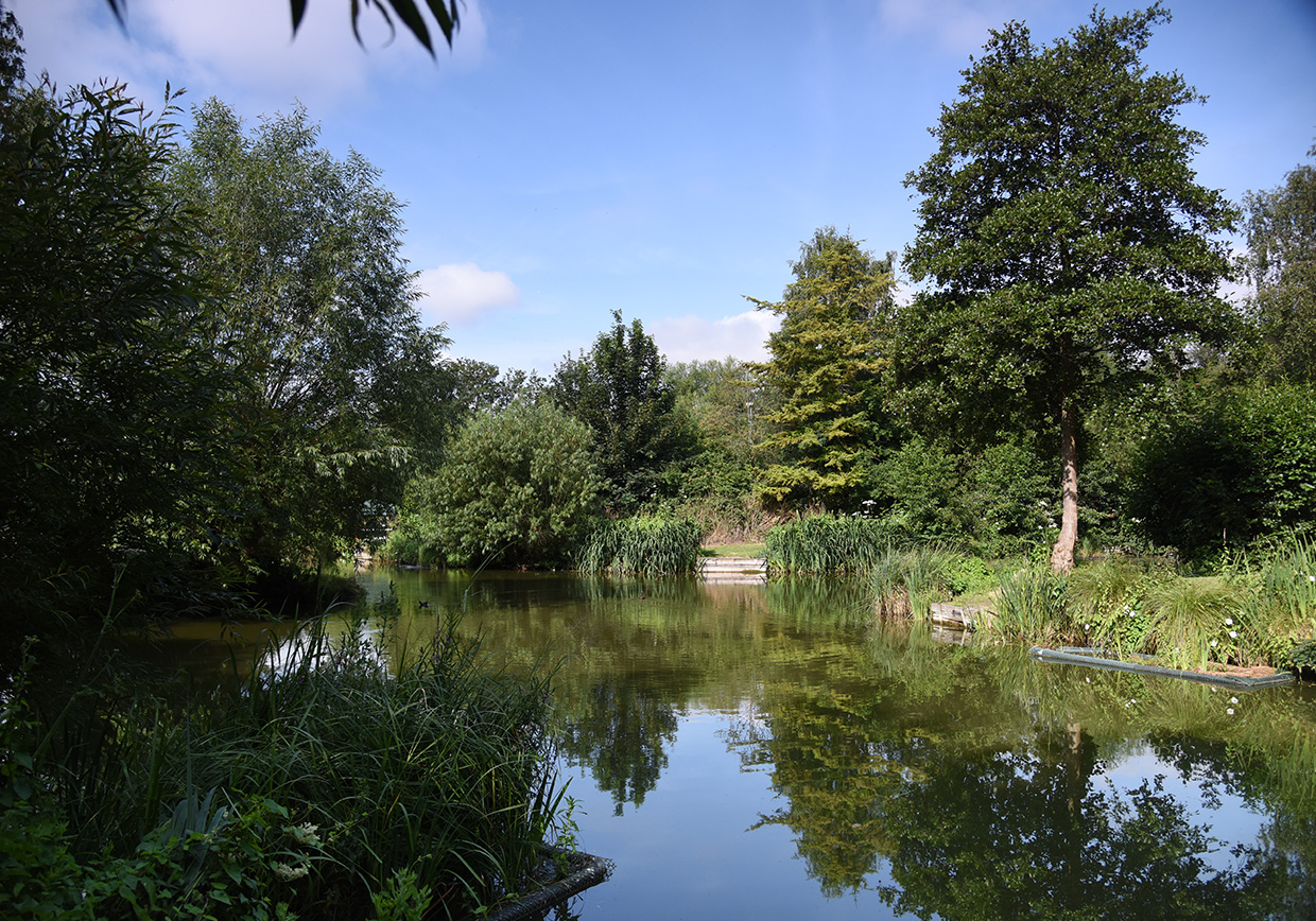 Riverside Road Fishery - Verulam Angling Club