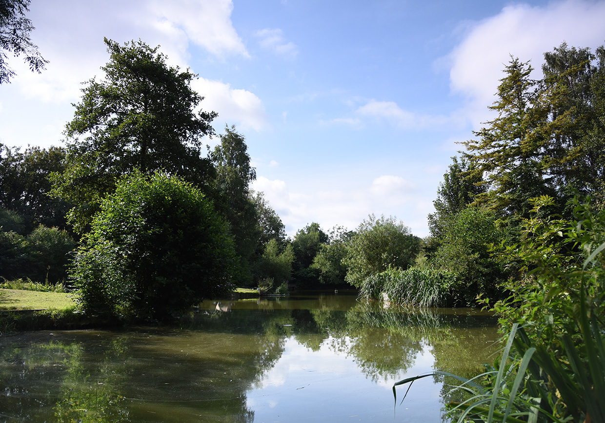 Riverside Road Fishery - Verulam Angling Club