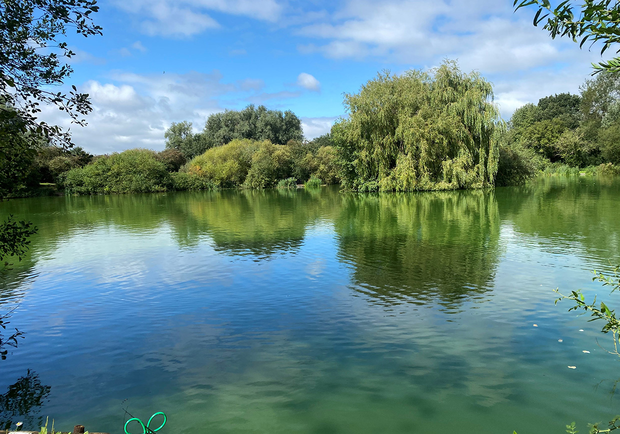 Smallford Fishery - Verulam Angling Club