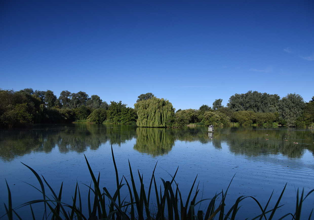 Smallford Fishery - Verulam Angling Club