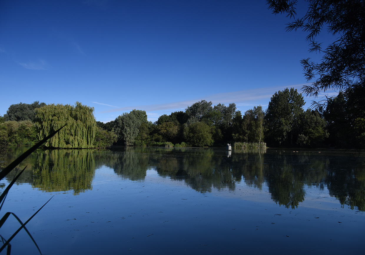 Smallford Fishery - Verulam Angling Club